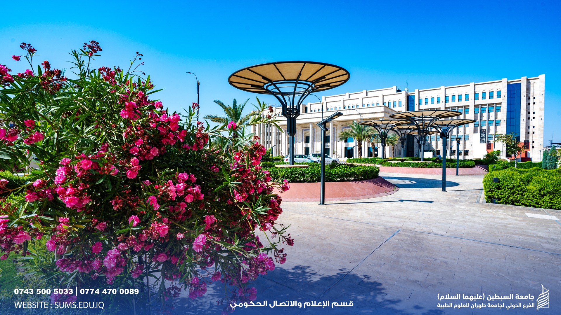بين زوايا الهندسة وضوء الصباح.. تولد العزيمة. جامعة السبطين: صرحٌ يجمع بين فخامة البناء.. وعلوّ المعنى.